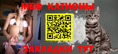 кокс Бийск